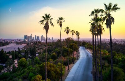 Palm trees and skyline at sunset in Los Angeles, California