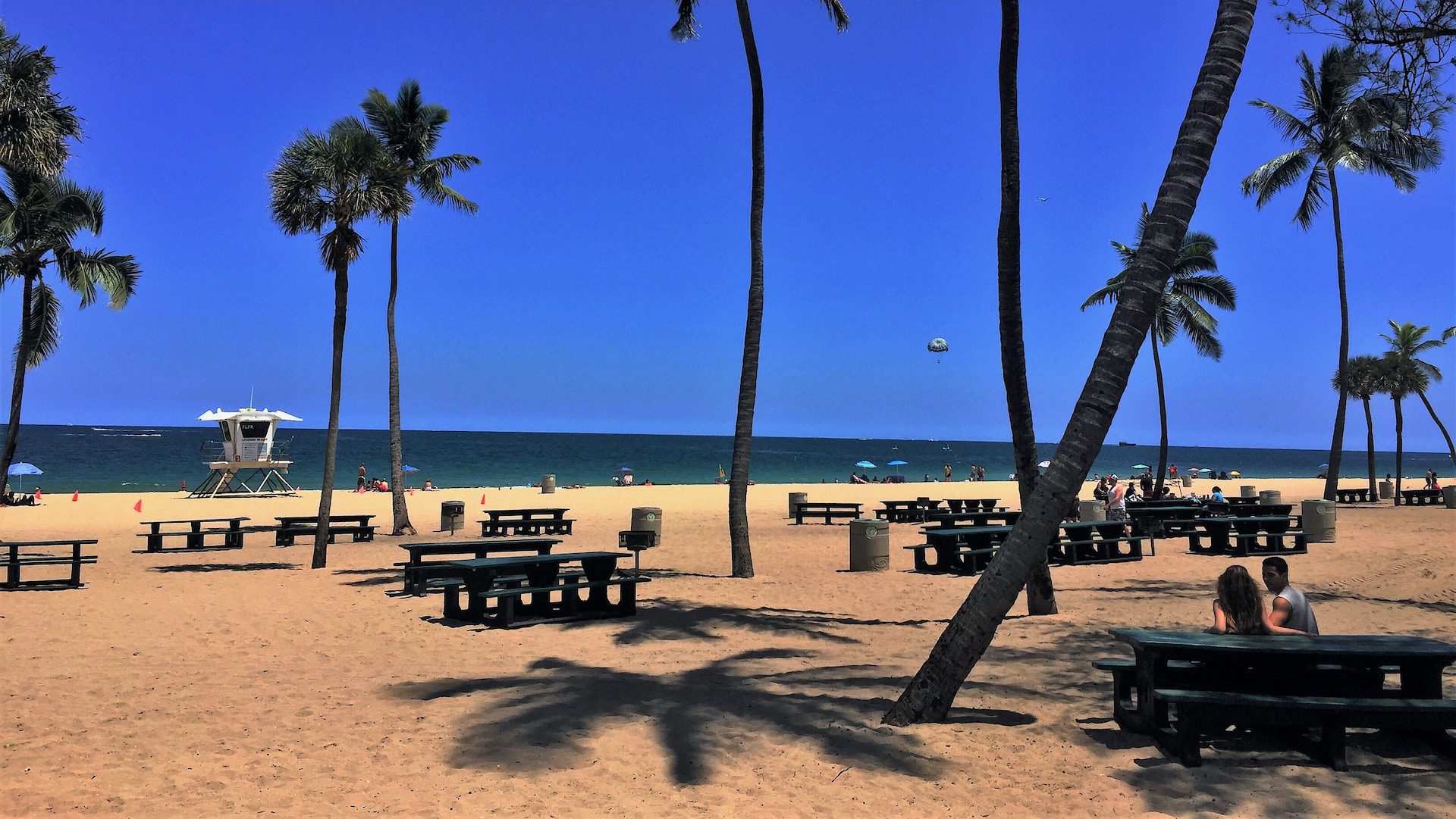 Beach with palm trees in Ft. Lauderdale, Florida.