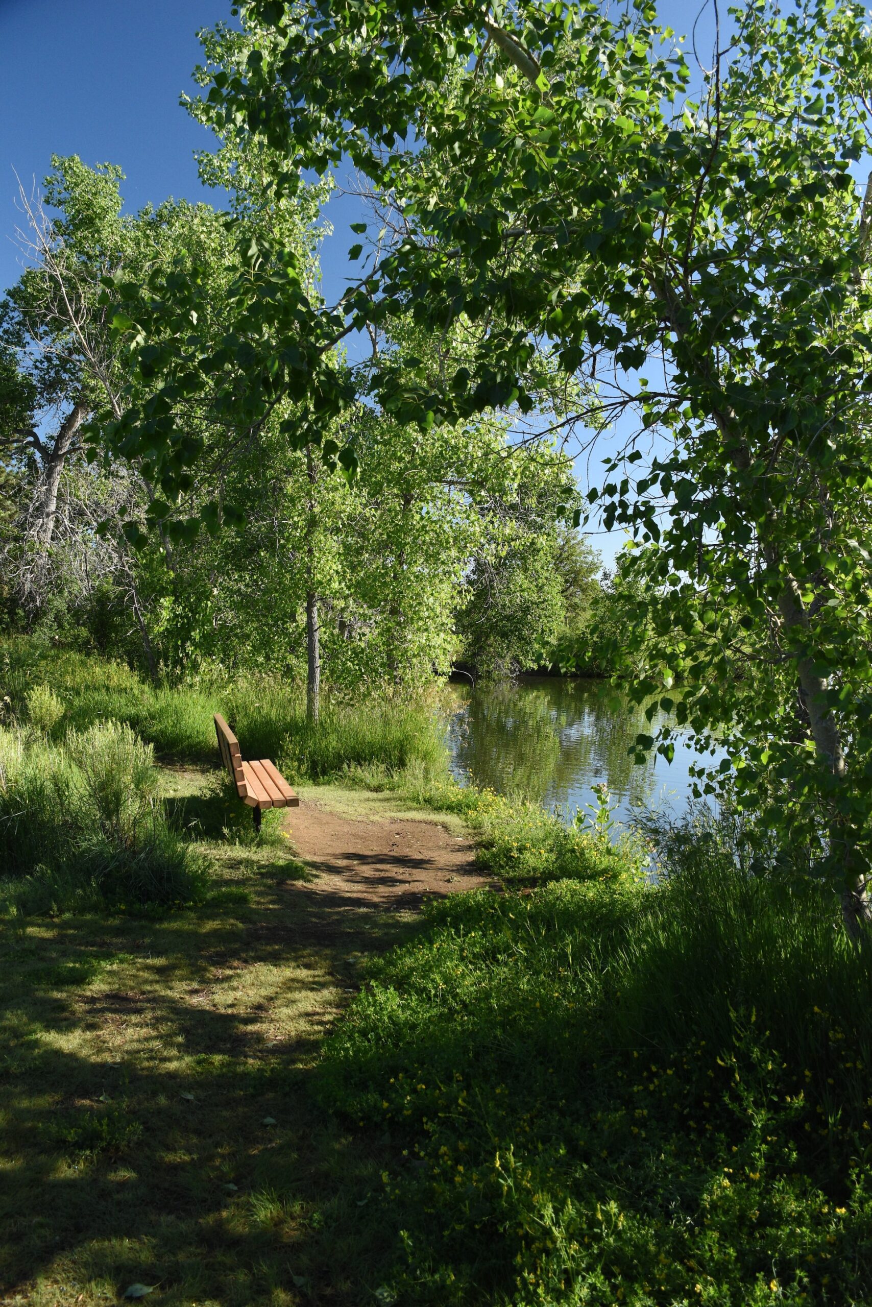 A bench on the side of a road next to a river near Lakewood, Colorado.