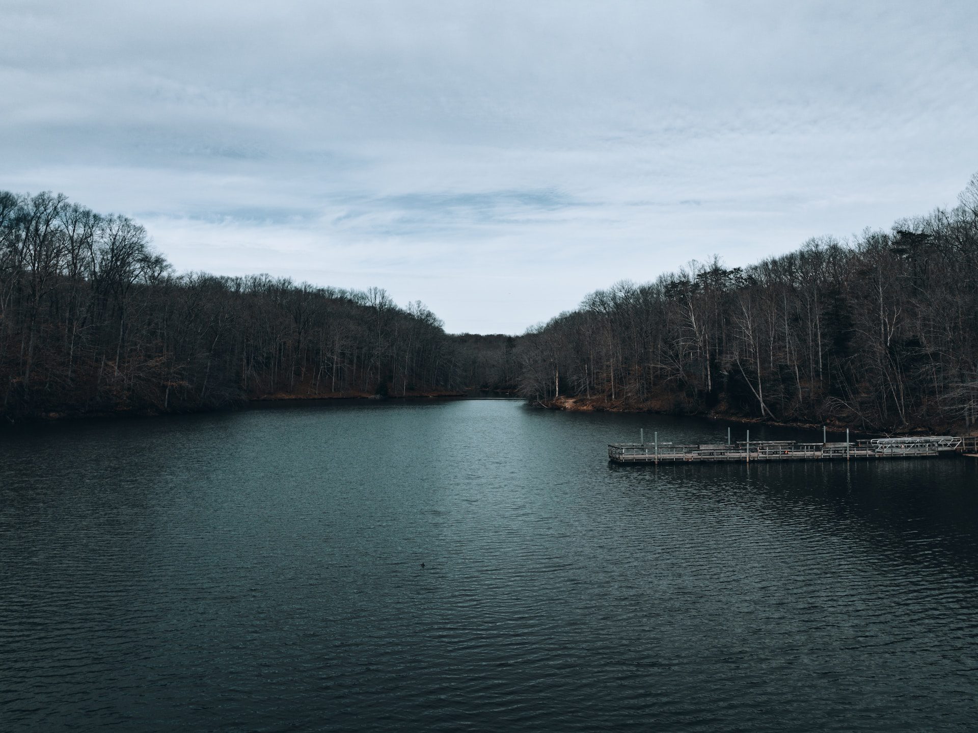 A large body of water surrounded by trees near Hampton, Virginia.