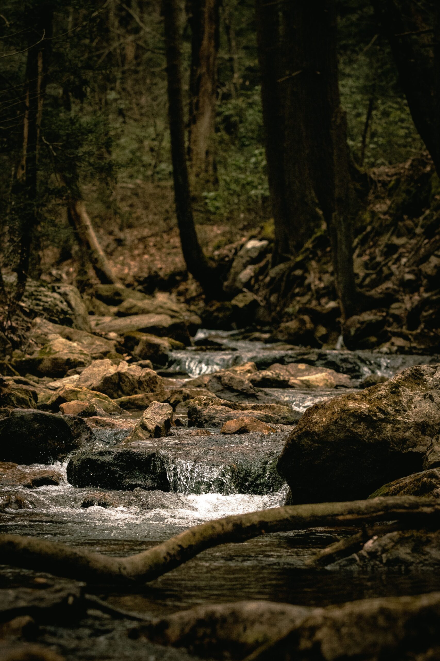 A rocky stream in the forest in Pennsylvania.