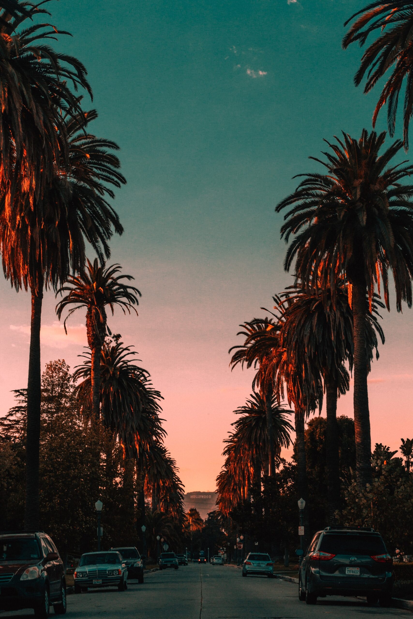 Palm trees at sunset on a street with parked cars in Rancho Cucamonga, California.