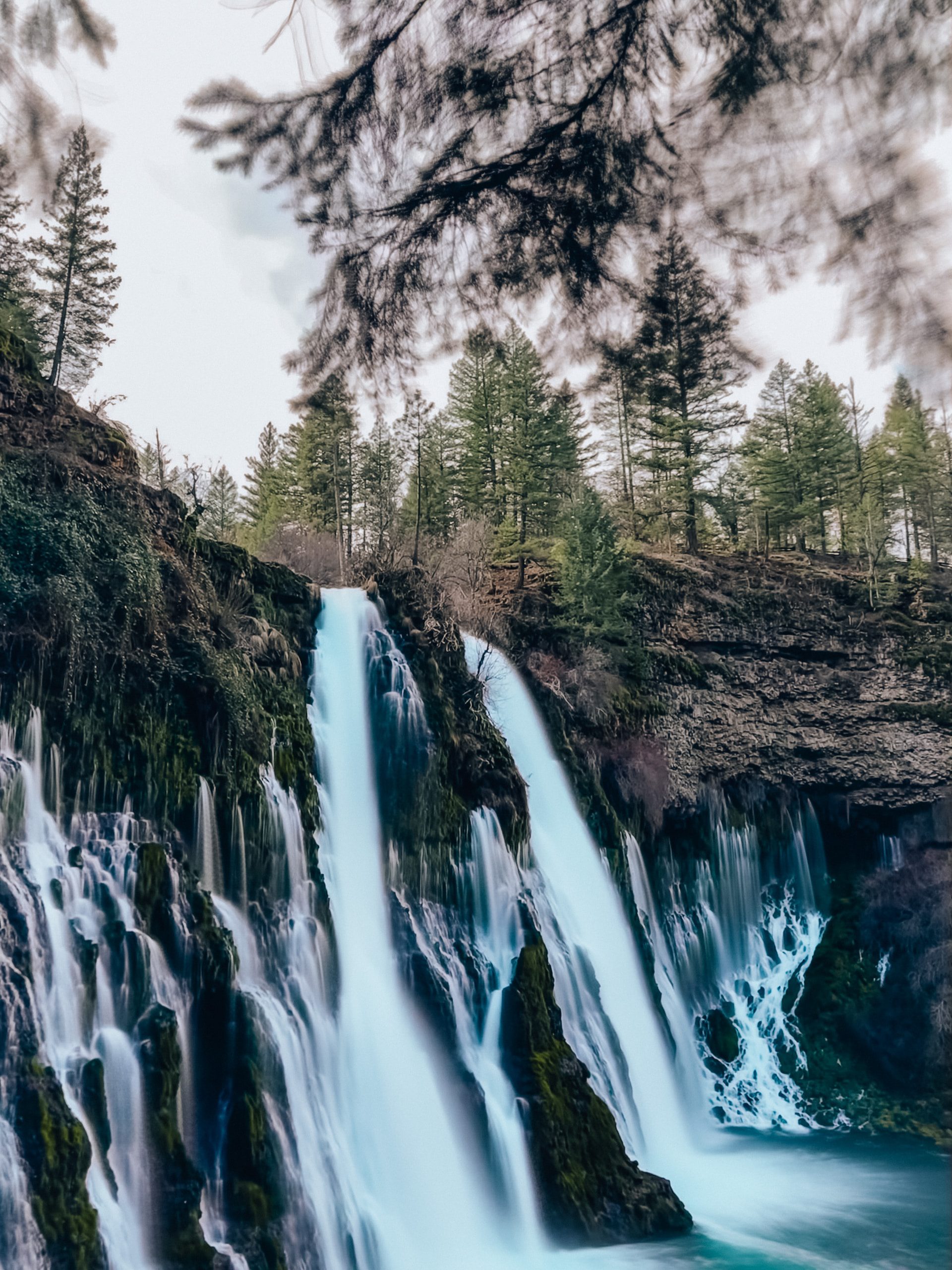 Waterfalls in forest near El Monte, California.