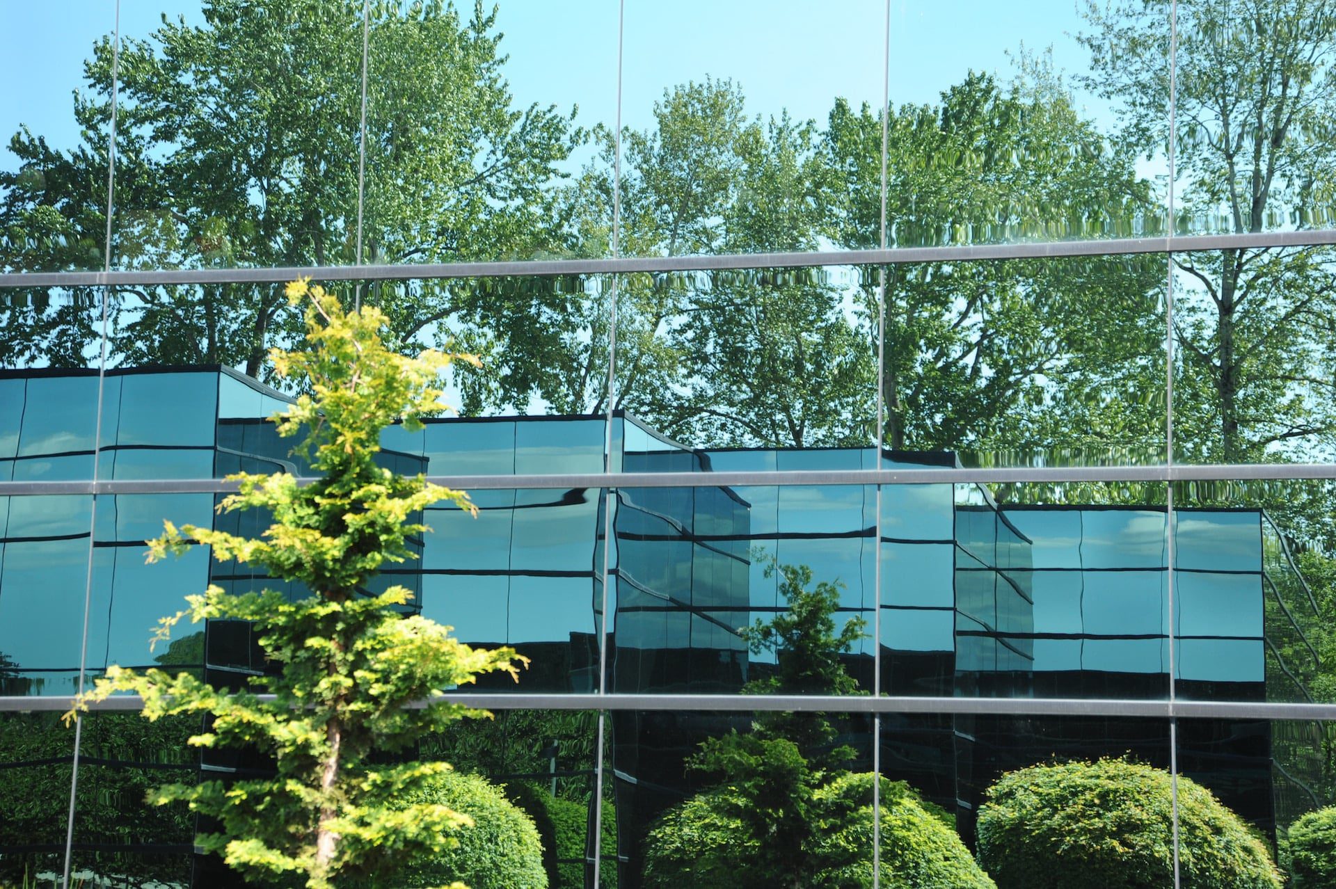Corporate building reflection with trees in Bellevue, Washington.