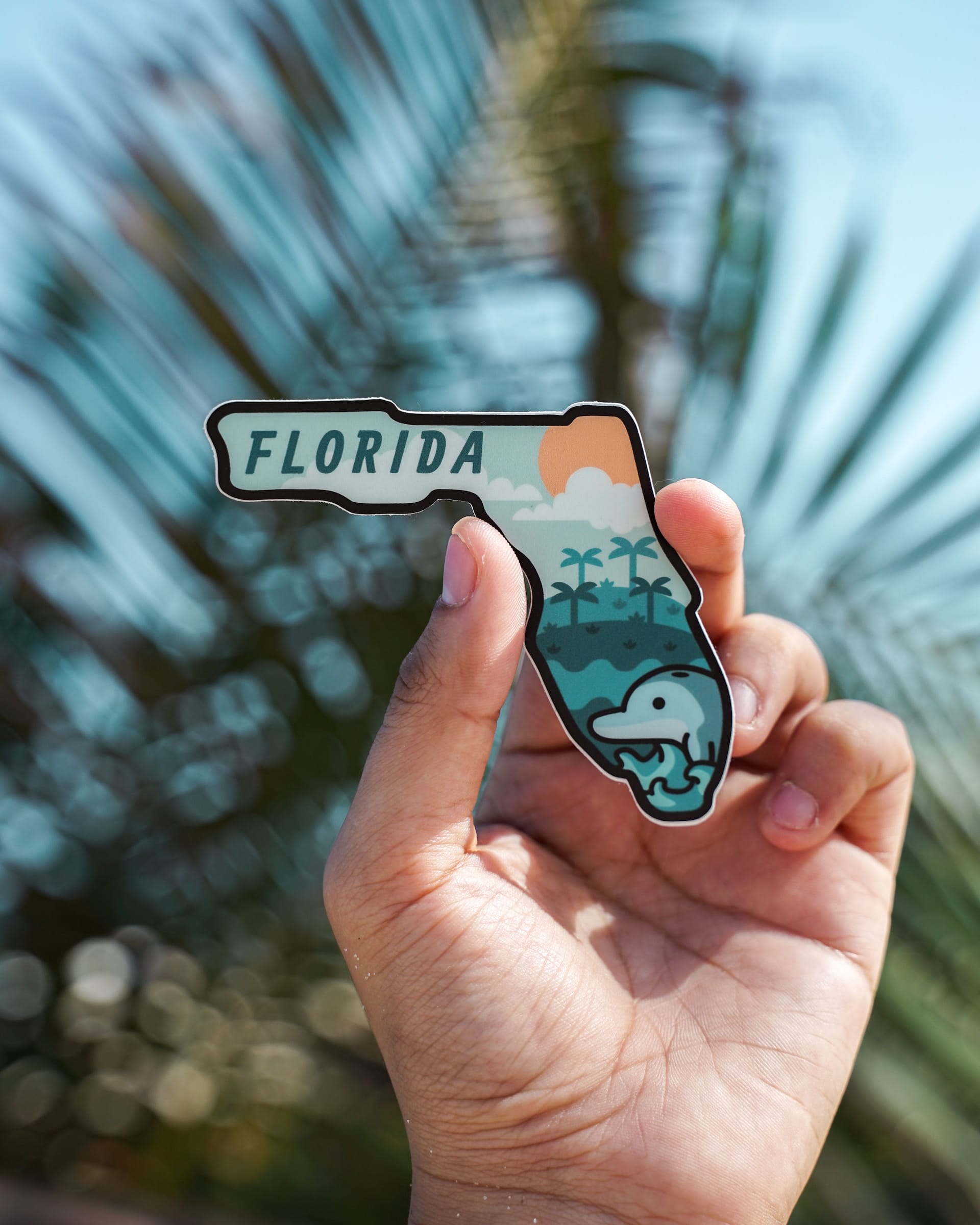 Florida souvenir near Holiday, Florida.