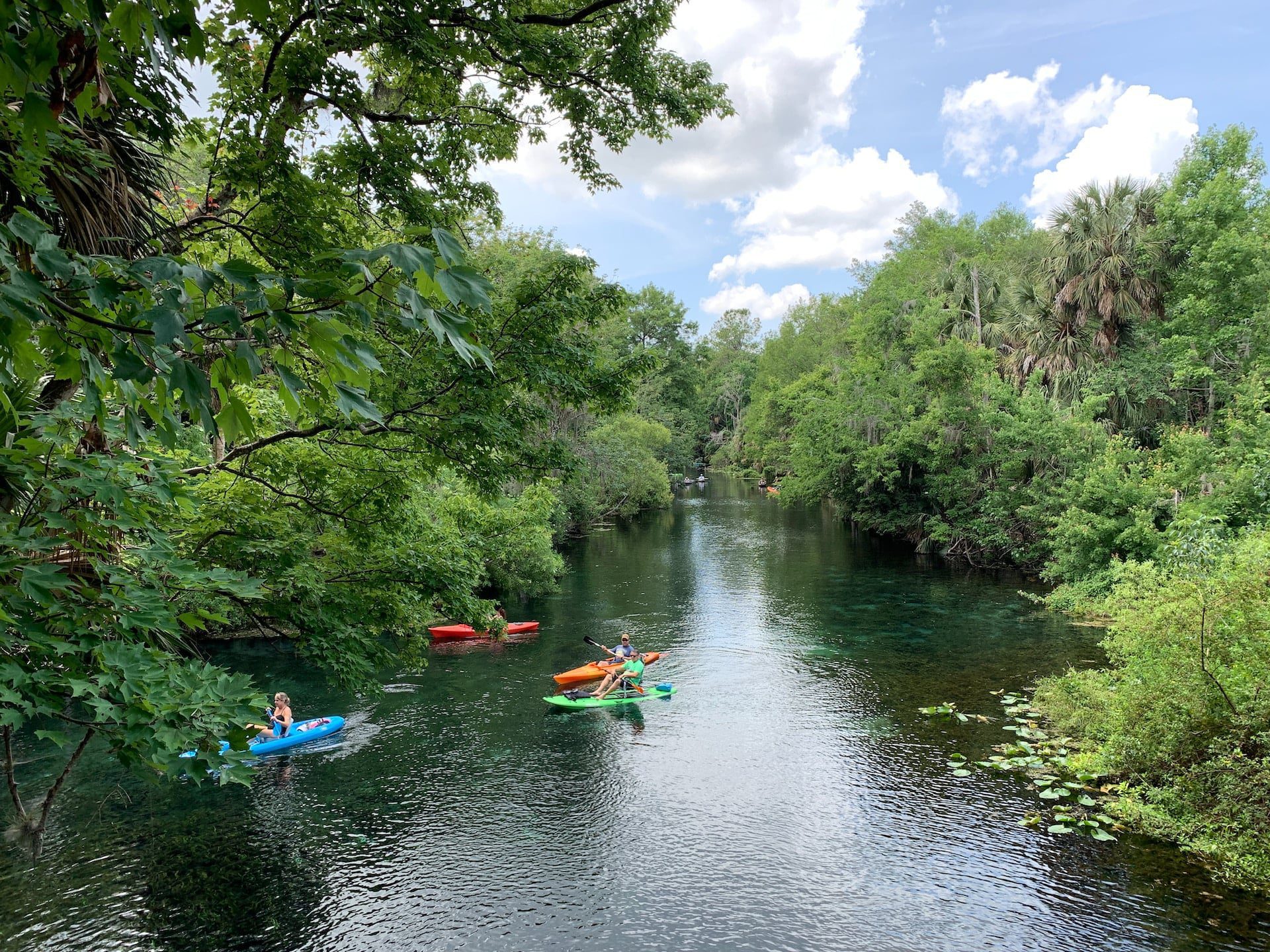 People kayaking in Silver Springs, Florida.