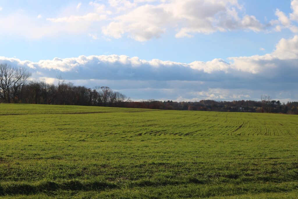 Large green field under a blue sky in Newtown, Pennsylvania.