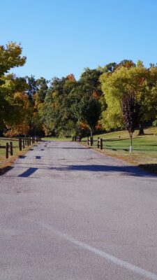 Road leading into a grove of trees in Cedar Rapids, Iowa.