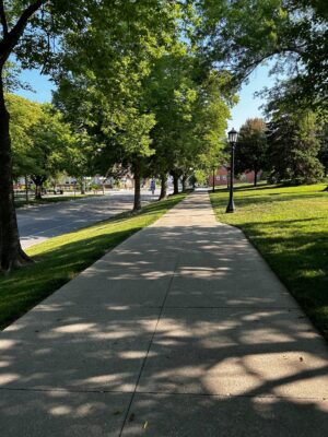 Sidewalk in a park lined with trees in Iowa City, Iowa.