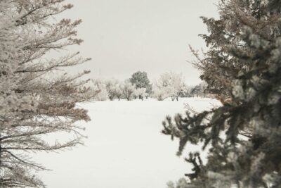 Snow covered field with trees in Aberdeen, South Dakota.