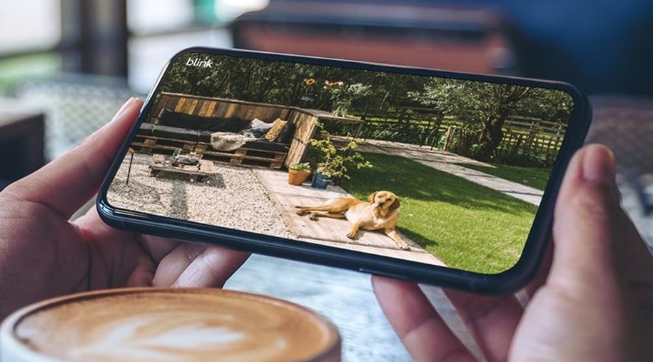 Blink Outdoor camera setup being utilized for backyard monitoring for pets and surrounding areas