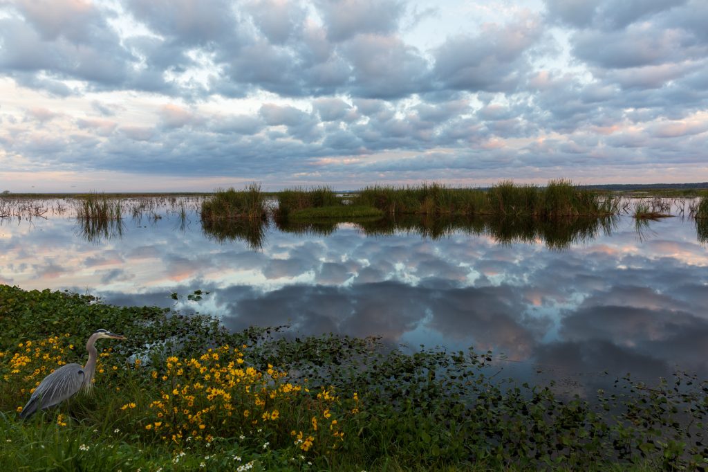 Apopka lake north of Orlando, FL