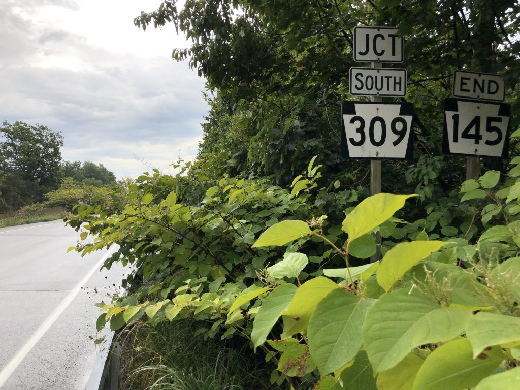 road outside Upper Saucon, PA