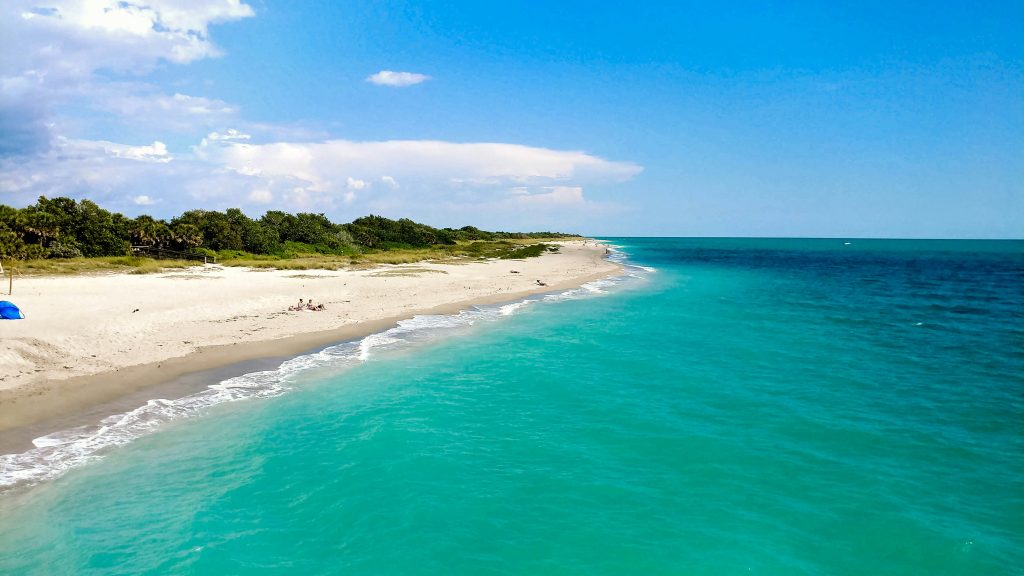 beach in Venice, Florida